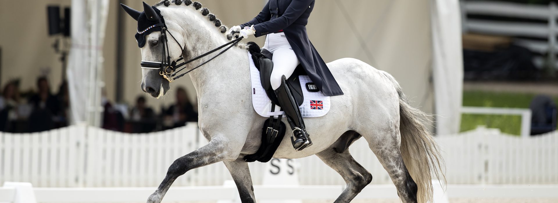 A rider schooling a grey horse at Forest Oaks Equestrian in the New Forest